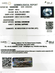 4.00/CT Natural Blue Sapphire with Govt Lab Certificate (12210)